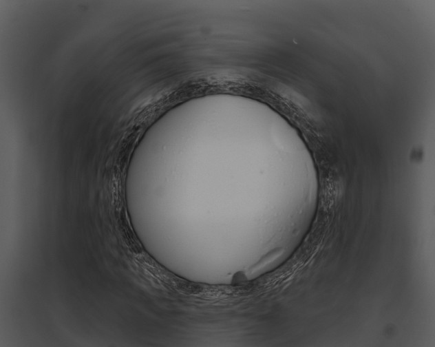 X0000095680917200801081059