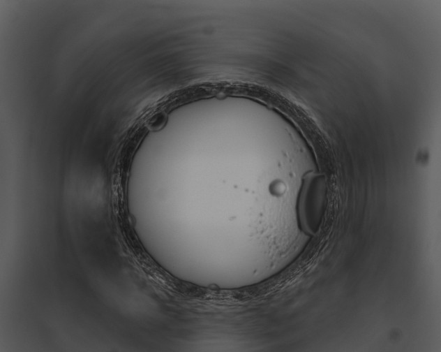 X0000095680918200801081059