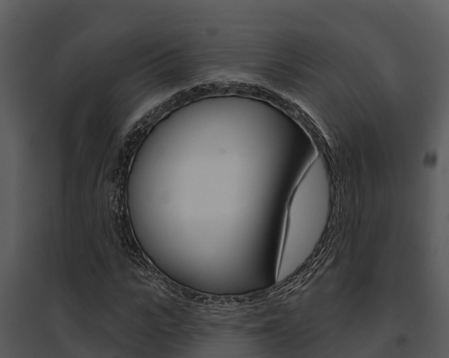 X0000095680919200801081059