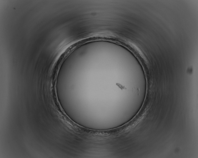 X0000095680923200801081059
