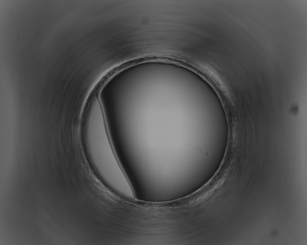 X0000095680924200801081059