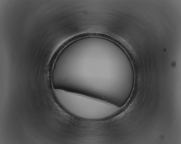 X0000095680926200801081059