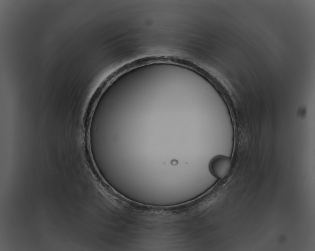 X0000095680927200801081059