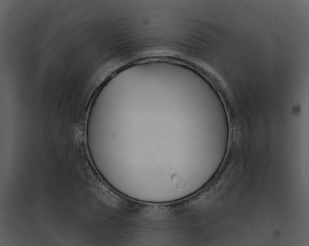 X0000095680929200801081059