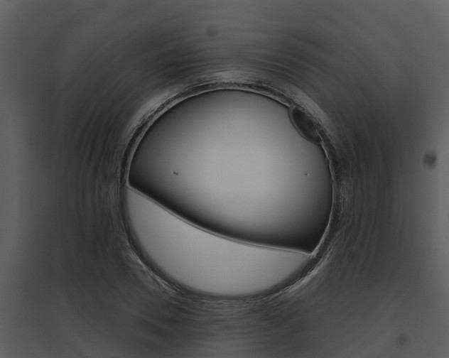 X0000095680930200801081059