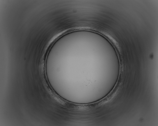 X0000095680933200801081059