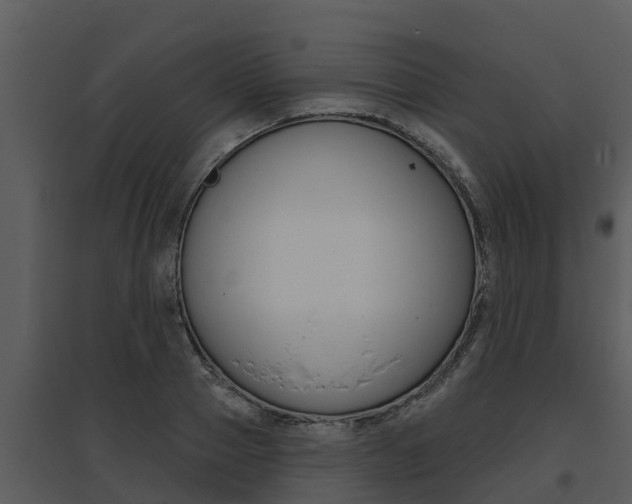 X0000095680937200801081059