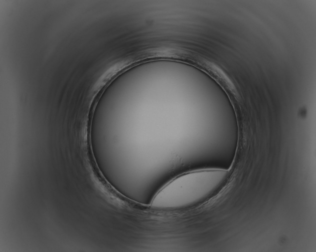 X0000095680938200801081100
