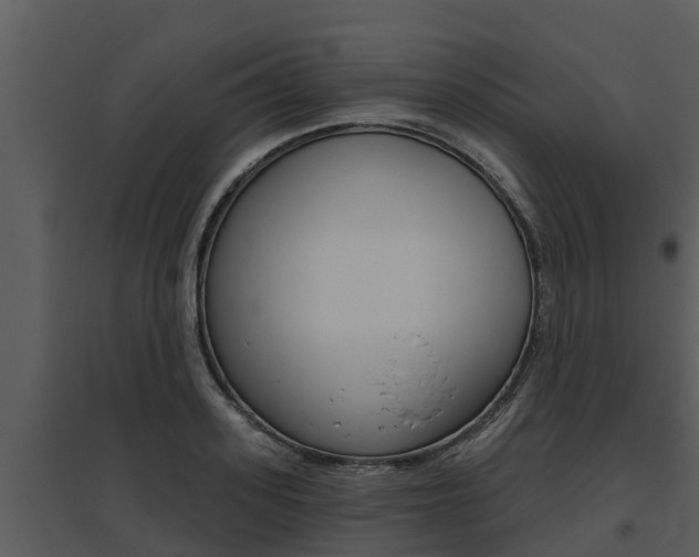 X0000095680939200801081100