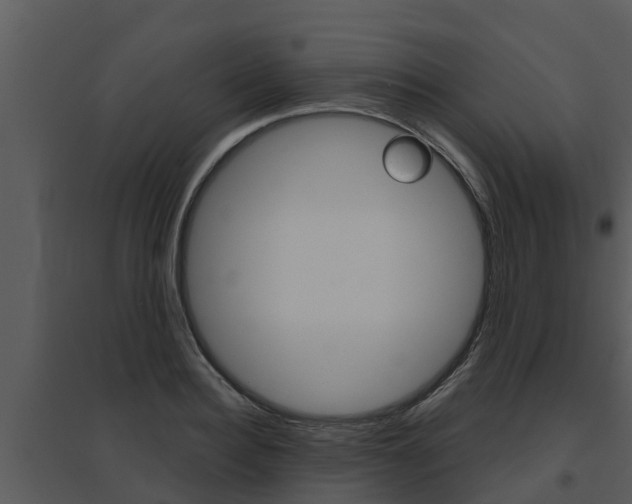 X0000095680940200801081100