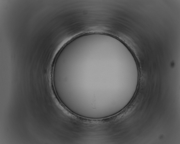 X0000095680941200801081100