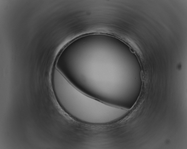X0000095680944200801081100