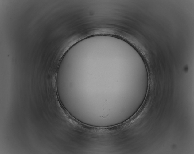 X0000095680945200801081100