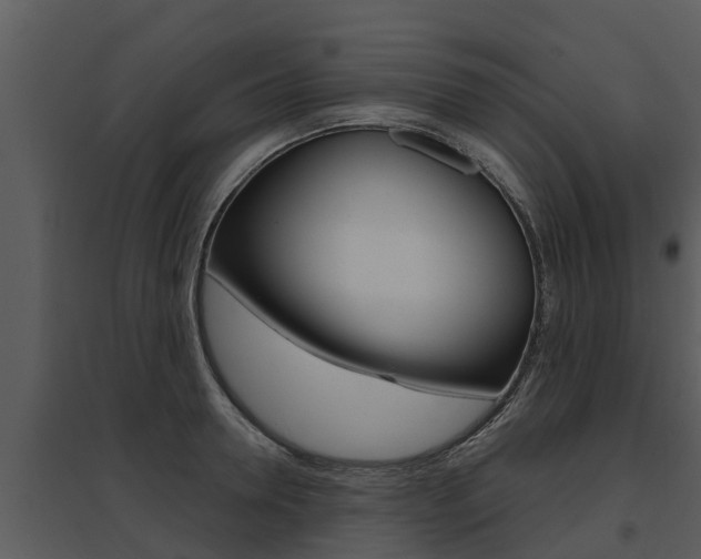 X0000095680946200801081100