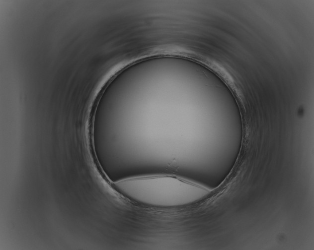 X0000095680947200801081100