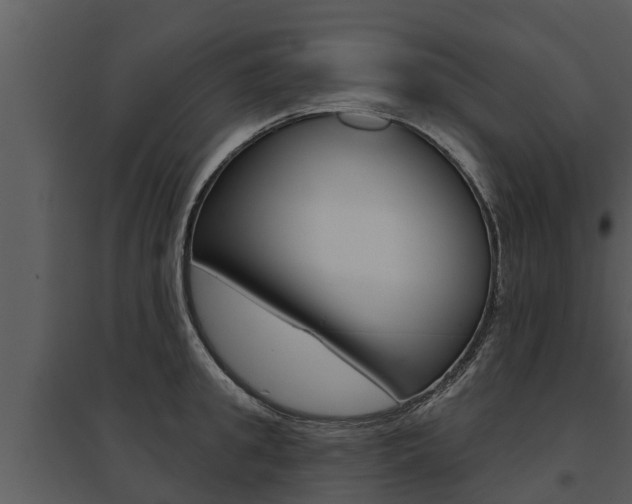 X0000095680949200801081100