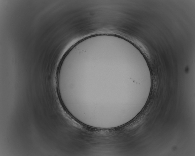 X0000095680950200801081100