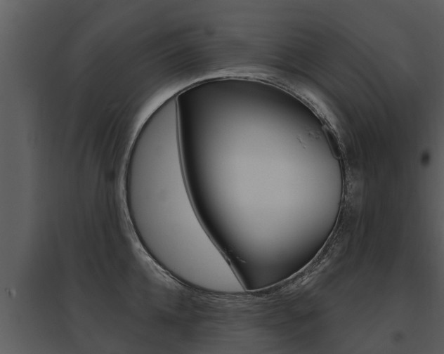 X0000095680952200801081100