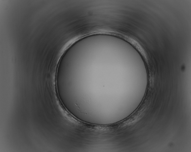 X0000095680954200801081100