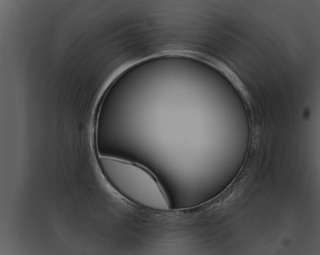 X0000095680955200801081100