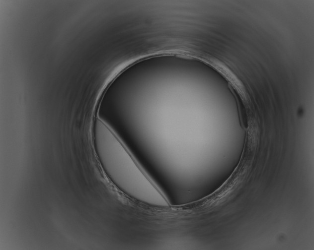 X0000095680956200801081100