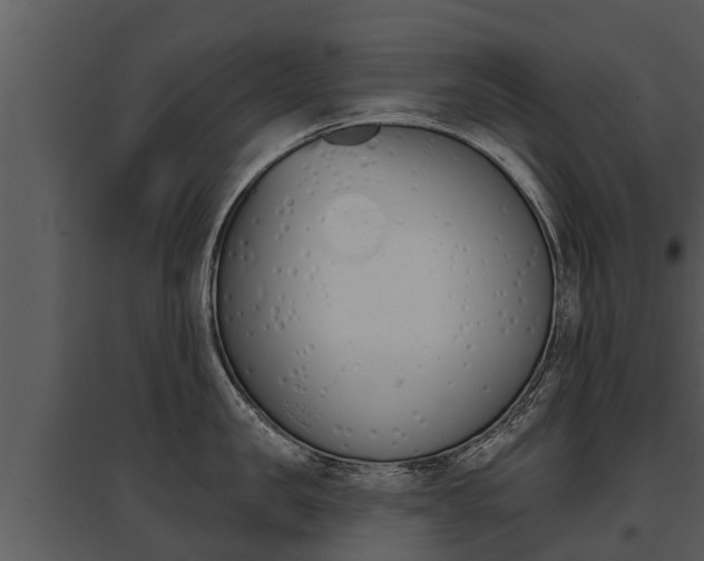 X0000095680957200801081100