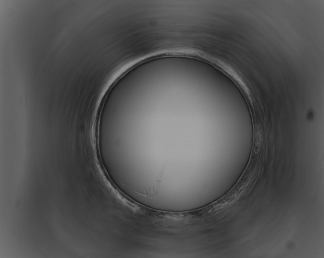 X0000095680959200801081100