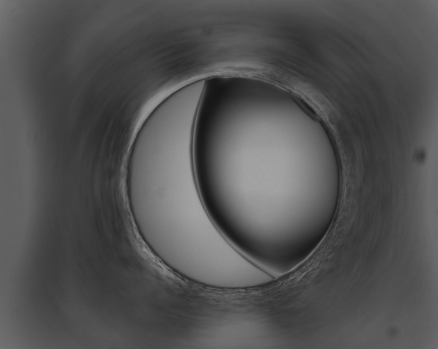 X0000095680960200801081100