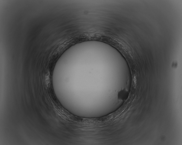 X0000095680963200801081059