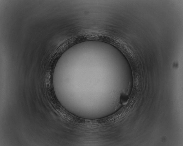 X0000095680964200801081059