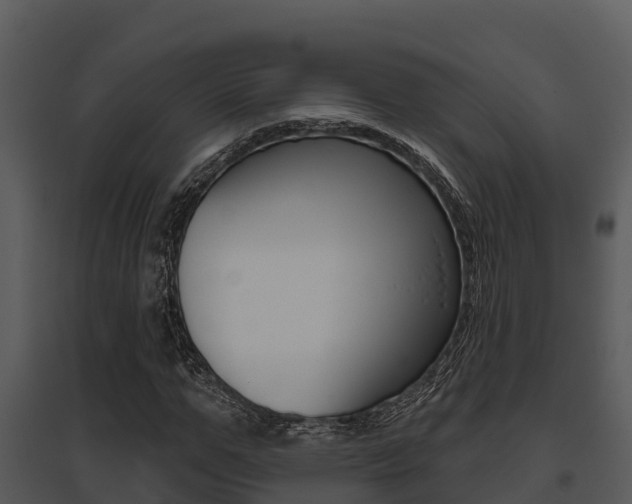 X0000095680967200801081059