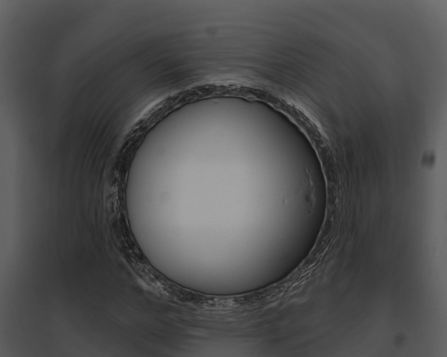 X0000095680968200801081059
