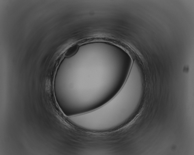 X0000095680969200801081059