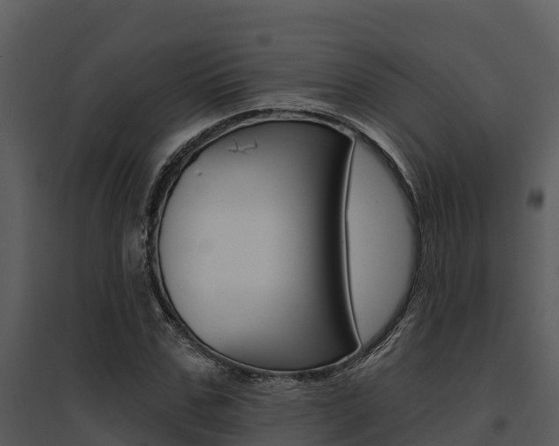X0000095680971200801081059