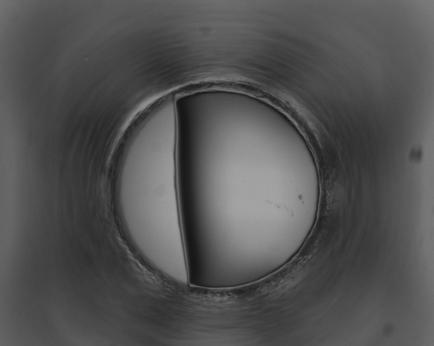X0000095680975200801081059