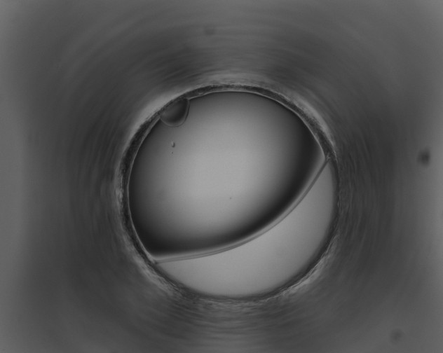 X0000095680981200801081059