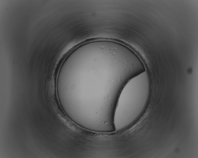 X0000095680982200801081059