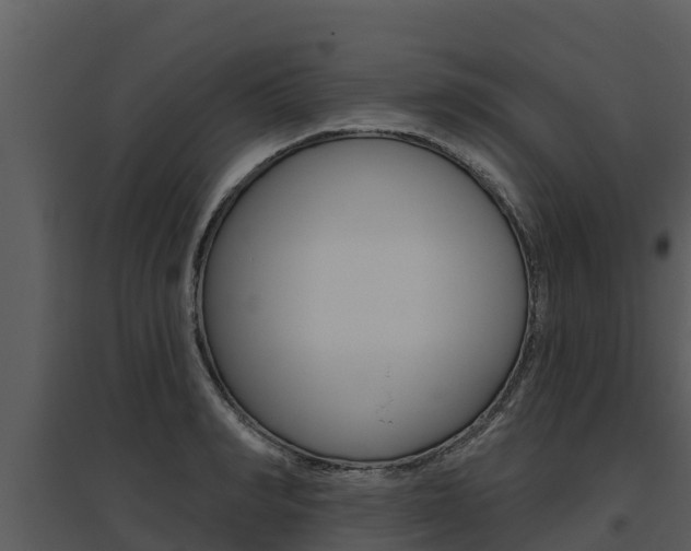 X0000095680990200801081059