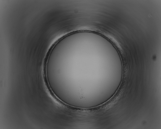 X0000095680991200801081059