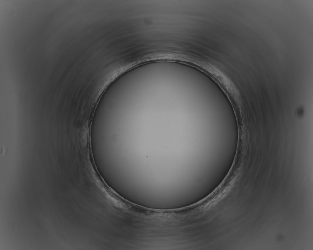 X0000095680993200801081059