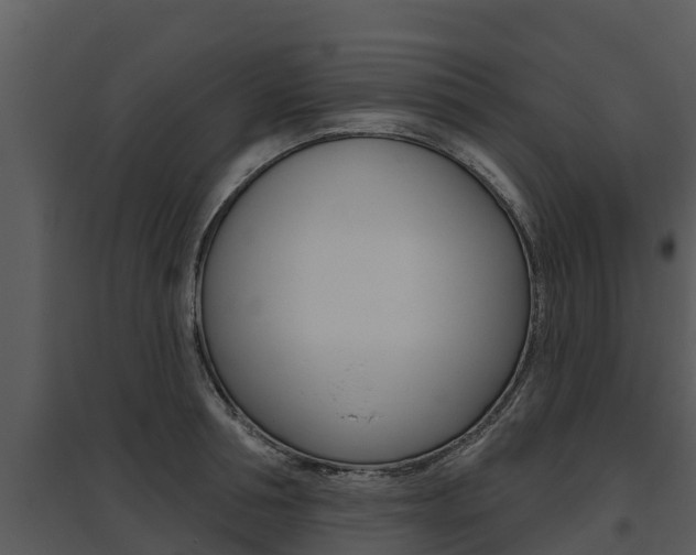 X0000095680994200801081059