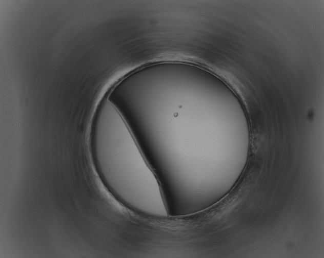 X0000095680995200801081059