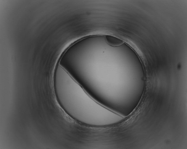 X0000095680996200801081059