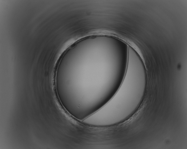 X0000095680997200801081059