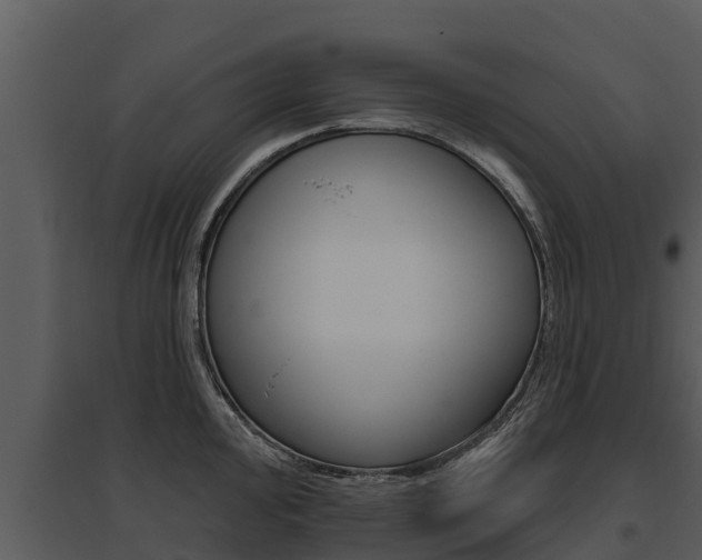 X0000095681000200801081059