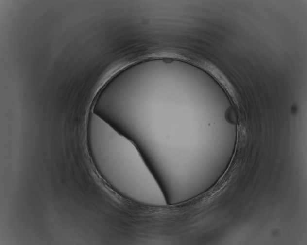 X0000095681002200801081059
