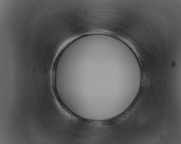 X0000095681003200801081059