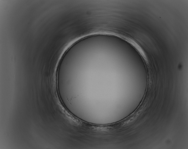 X0000095681004200801081059