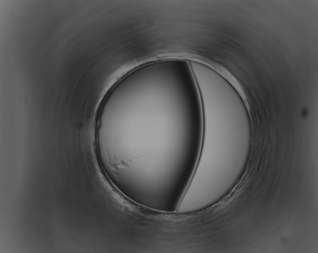 X0000095681005200801081059