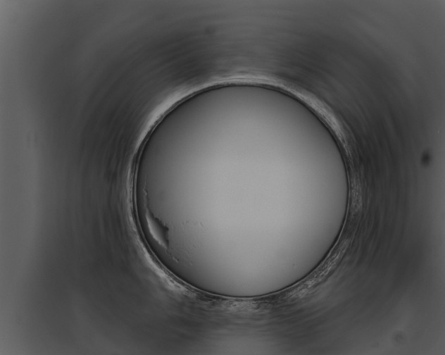 X0000095681006200801081059